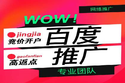 某电商平台sem竞价运营的突破与挑战
